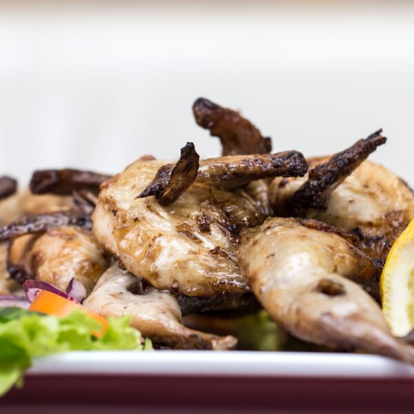 BBQ chicken breast